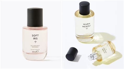 m & s dupe perfumes|m&co shopping online.